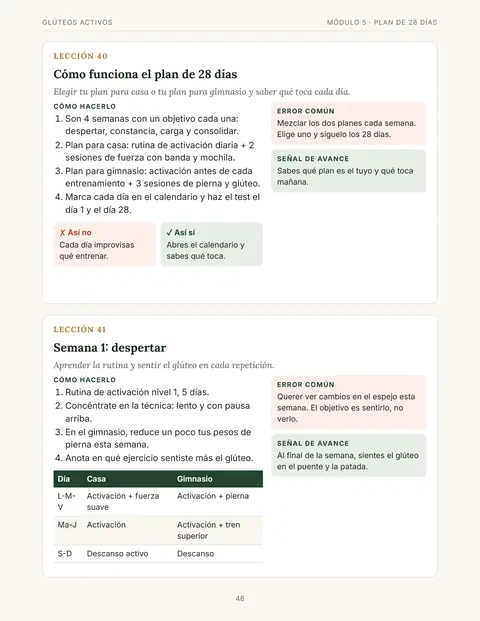 Página: cómo funciona el plan de 28 días